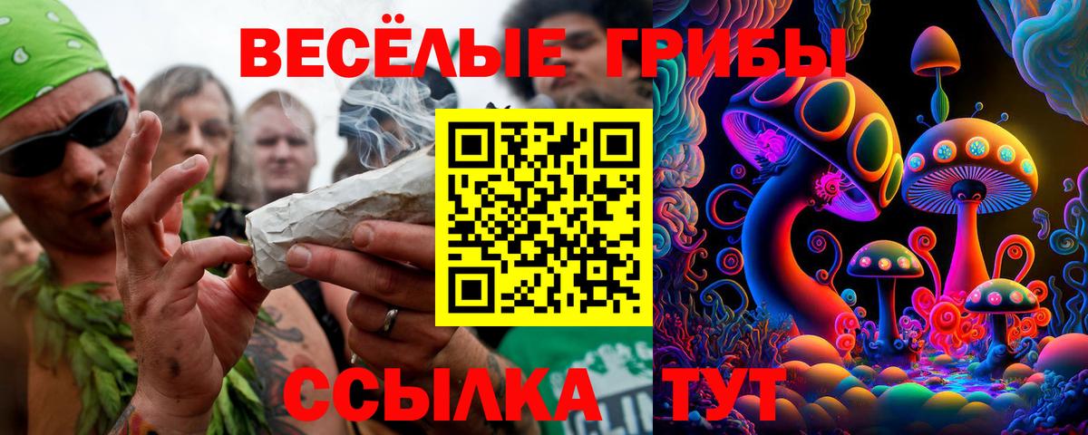 Галлюциногенные грибы Psilocybe  Вход с VPN  Славгород  Псилоцибиновые грибы Cubensis 